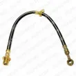 Flexible de frein DELPHI [LH0460]