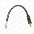 Flexible de frein DELPHI [LH0489]