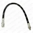 Flexible de frein DELPHI [LH1710]