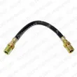 Flexible de frein DELPHI [LH2053]