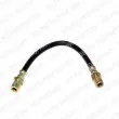 Flexible de frein DELPHI [LH2079]