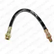 Flexible de frein DELPHI [LH2094]