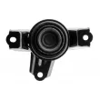 TEKNÖR ZPS-KA-324 - Support moteur avant droit 