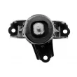 TEKNÖR ZPS-KA-324 - Support moteur avant droit 