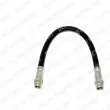 Flexible de frein DELPHI [LH2801]