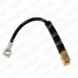 DELPHI LH2810 - Flexible de frein