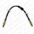 DELPHI LH3273 - Flexible de frein