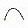 DELPHI LH3628 - Flexible de frein