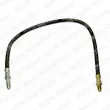 DELPHI LH5288 - Flexible de frein