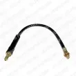 Flexible de frein DELPHI [LH5373]