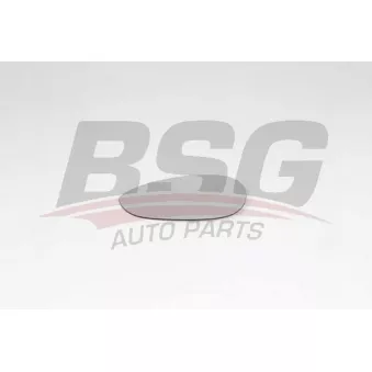 BSG BSG 25-910-011 - Verre de rétroviseur, rétroviseur extérieur