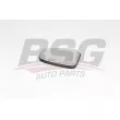 BSG BSG 30-910-044 - Verre de rétroviseur, rétroviseur extérieur
