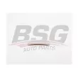 BSG BSG 30-910-050 - Rétroviseur extérieur
