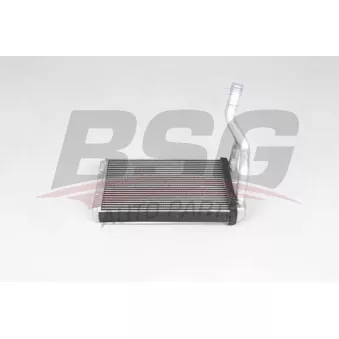 BSG BSG 40-530-020 - Système de chauffage