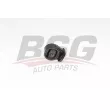 Support moteur BSG [BSG 40-700-183]