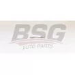 BSG BSG 55-870-002 - Bougie de préchauffage