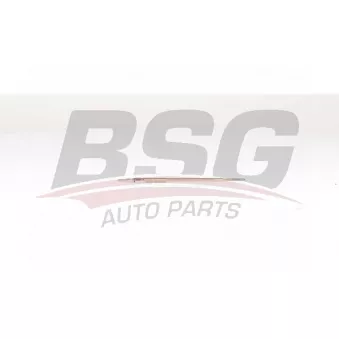 BSG BSG 62-870-003 - Bougie de préchauffage