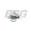 Support moteur BSG [BSG 65-700-261]
