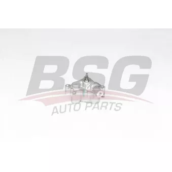 BSG BSG 75-101-002 - Pompe à huile