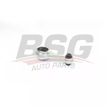 Support moteur BSG OEM 112381035R