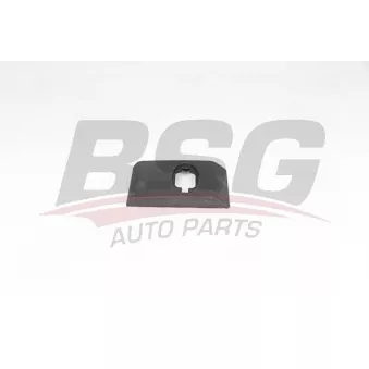Baguette et bande protectrice, panneau latérale BSG OEM 4419549