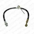 DELPHI LH6033 - Flexible de frein