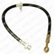 DELPHI LH6034 - Flexible de frein