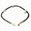 Flexible de frein DELPHI [LH6038]