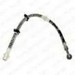 DELPHI LH6060 - Flexible de frein