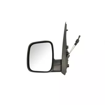 Rétroviseur extérieur BLIC OEM 735460570