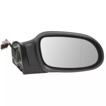 Rétroviseur extérieur BLIC OEM B66818420