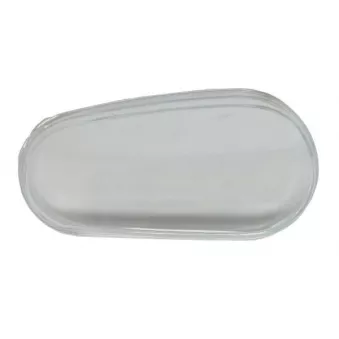 Disperseur, projecteur principal BLIC 5410-01-1559105P pour VOLKSWAGEN GOLF 2.8 V6 4motion - 204cv