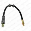 Flexible de frein DELPHI [LH6293]