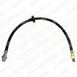 DELPHI LH6340 - Flexible de frein