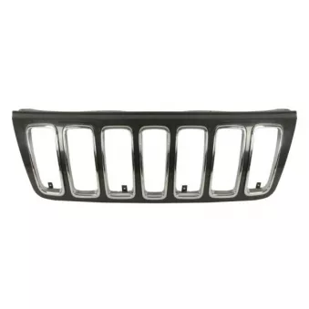 BLIC 5601-00-3204995P - Grille de radiateur