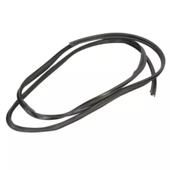 Joint d'étanchéité, pare-brise BLIC 5703-04-2534100P Joint d'étanchéité, pare-brise BLIC 5703-04-2534100P