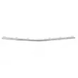 BLIC 5703-05-3529927P - Baguette et bande protectrice, pare-chocs