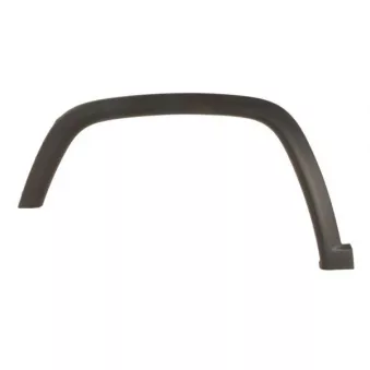 Baguette et bande protectrice, aile avant gauche BLIC 5703-06-3217571P
