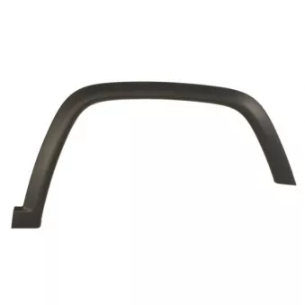 Baguette et bande protectrice, aile avant droit BLIC 5703-06-3217572P