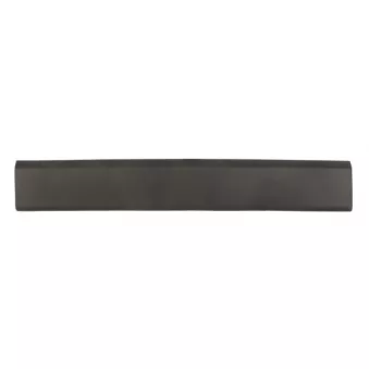 BLIC 5703-06-6089576SP - Baguette et bande protectrice, panneau latérale