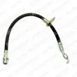 Flexible de frein DELPHI [LH6450]