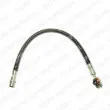 Flexible de frein DELPHI [LH6460]