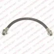 Flexible de frein DELPHI [LH6534]