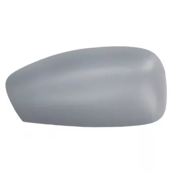 Boitier, rétroviseur extérieur BLIC 6103-01-1321282P