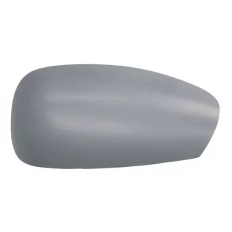 Boitier, rétroviseur extérieur BLIC 6103-01-1322282P