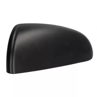 Boitier, rétroviseur extérieur BLIC 6103-15-2001855P