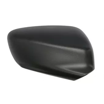 Boitier, rétroviseur extérieur BLIC 6103-21-044350P