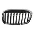 BLIC 6502-07-0071991P - Grille de radiateur