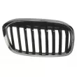BLIC 6502-07-0071992P - Grille de radiateur avant droit 