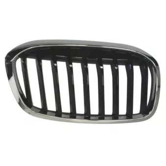 BLIC 6502-07-0071992P - Grille de radiateur avant droit 